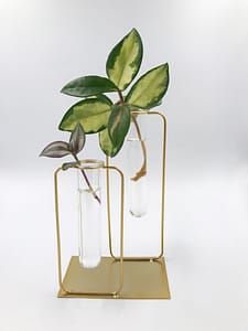 Gold propagation vase