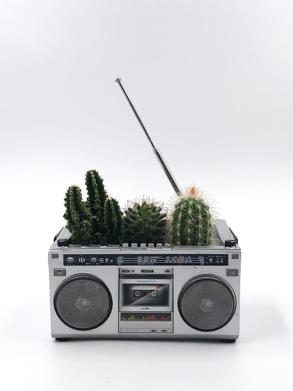 Boom box plant pot with Cactus for sale