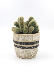 Monochrome sgraffito plant pot - fits small houseplant for sale from Botanica Verde