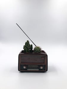 Retro radio plant pot - quirky planter for small houseplants with cactus from Botanica Verde for sale