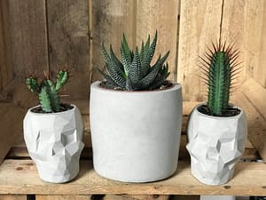 Selection of concrete pots