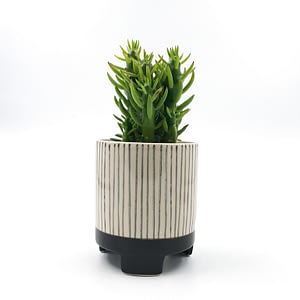 Striped monochrome plant pot on legs (small)