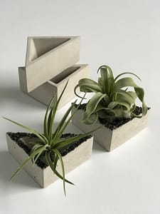 Selection of triangle concrete pots for air plant and cactus