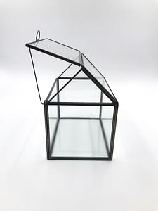 Glass House Terrarium for sale from Botanica Verde with lid open