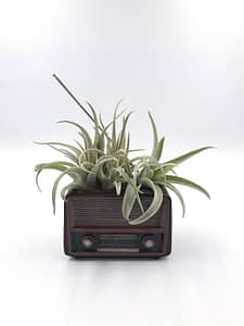 Retro radio plant pot - quirky planter for small houseplants