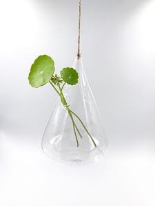 Hanging glass vase