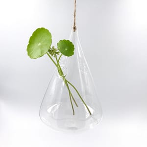 Hanging glass vase from Botanica Verde