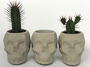 Concrete skull plant pot