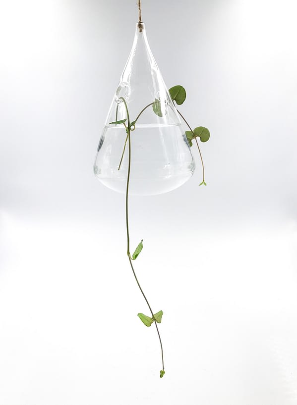 Hanging glass vase