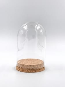 Terrarium bell jar