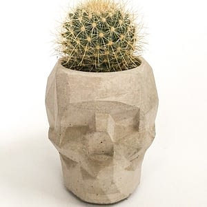 Geometric Concrete Skull
