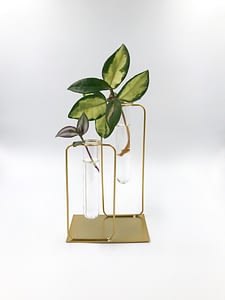 Gold propagation vase