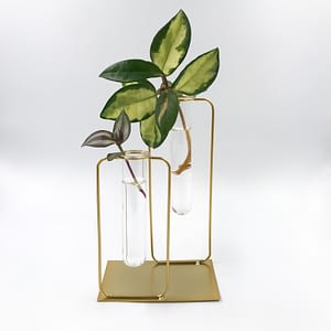 Gold propagation vase with leafs
