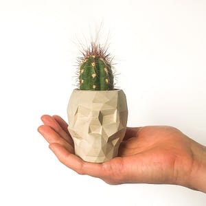Concrete skull plant pot for sale