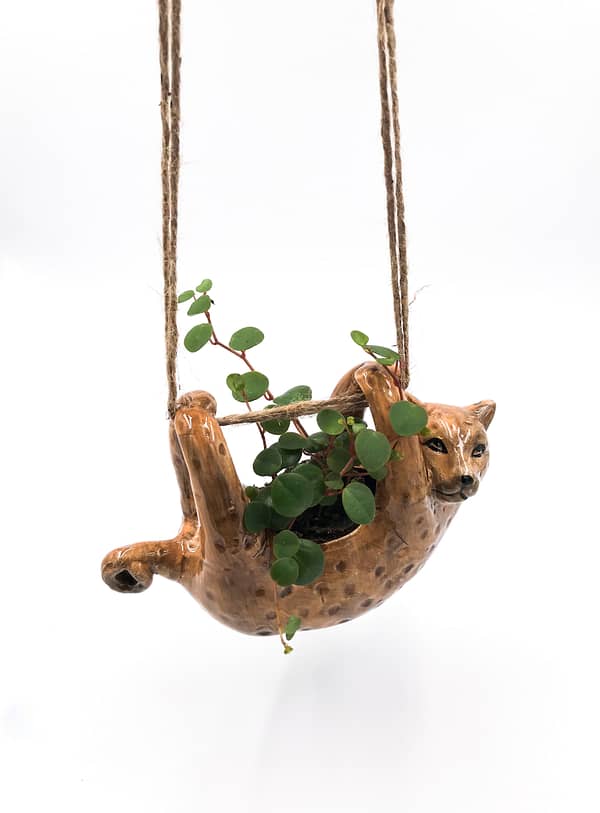 Hanging leopard plant pot