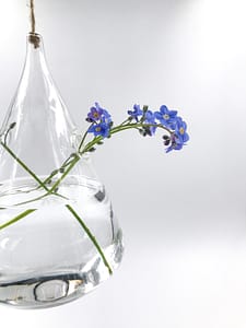 Hanging glass vase with flower