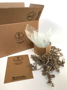 Botanica Verde recyclable packaging