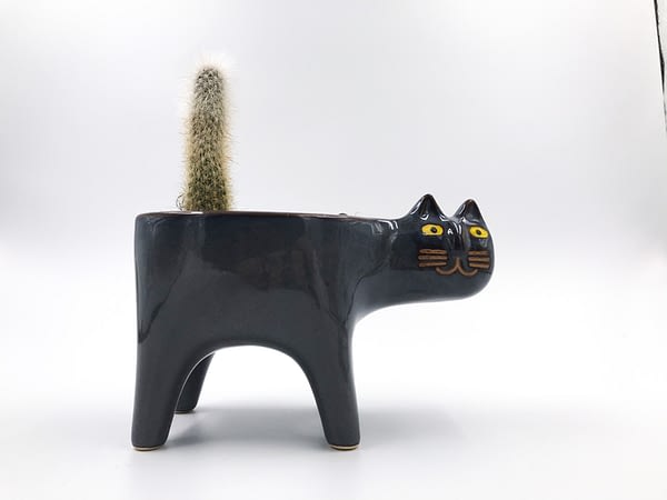 Dark blue Cat plant pot with cactus tale for sale