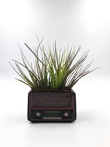 Retro radio plant pot - quirky planter for small houseplants from Botanica Verde for sale with air plant