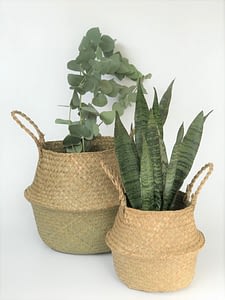 Seagrass Basket with plants