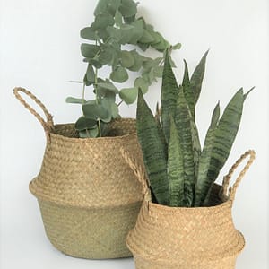 Seagrass Basket with plants