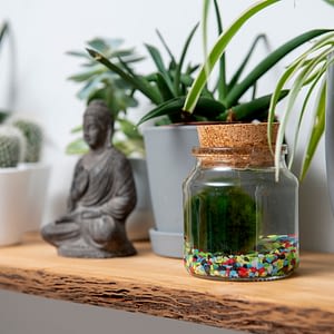 Marimo Moss Ball Terrarium Jar with multicolour gravel