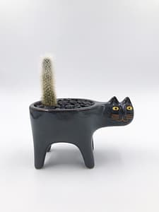 Dark blue Cat plant pot with cactus tale