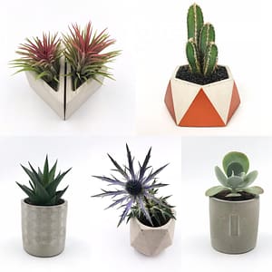 Plant pots from Botanica Verde