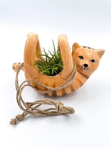 Hanging cat plant pot