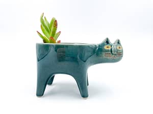 Succulent in blue Cat plant pot for sale