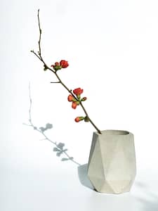 Concrete pot with flower branch
