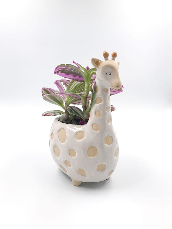 Mrs Giraffe plant pot - planter for small to medium houseplants from Botanica Verde for sale with plant