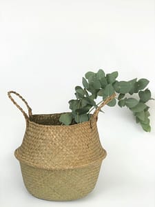 Belly Basket with plants