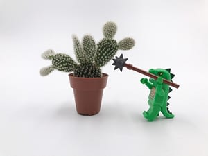 Cactus with playmobil