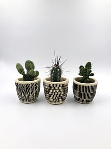 Boho plant pot trio - set of 3 small pots for sale