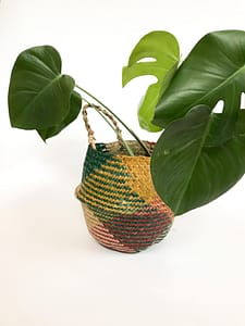 Boho Muticolour belly basket folded with plant