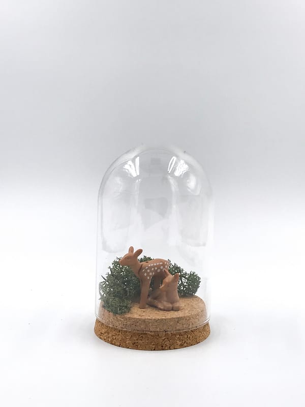Terrarium bell jar for sale from Botanica Verde